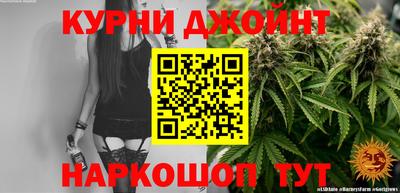 гашик Будённовск