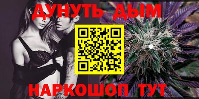 гашик Будённовск