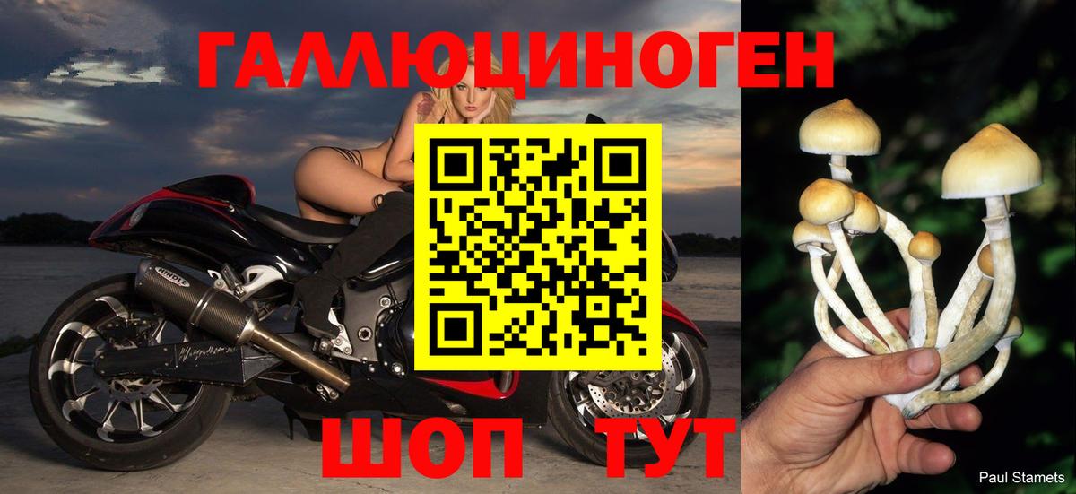 Галлюциногенные грибы GOLDEN TEACHER Похвистнево