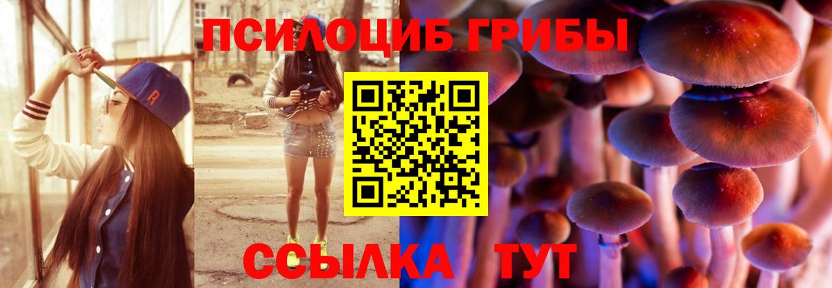 Галлюциногенные грибы прущие грибы  где найти   Похвистнево  Вход с VPN 